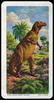 23 Iguanodon